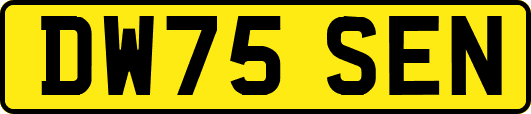 DW75SEN