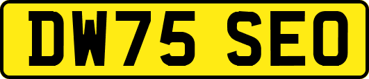 DW75SEO