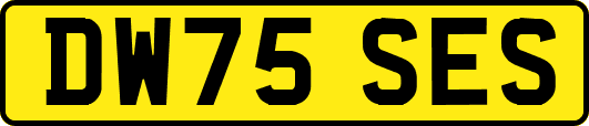 DW75SES
