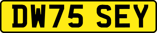 DW75SEY