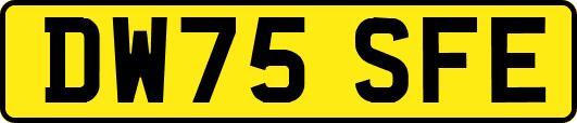 DW75SFE