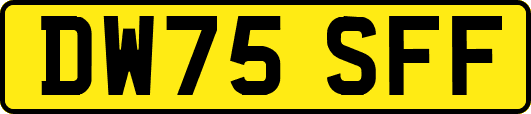 DW75SFF