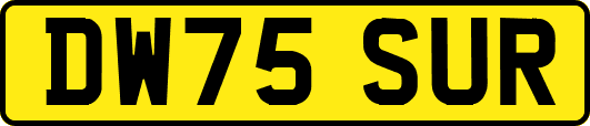 DW75SUR