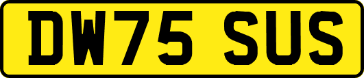 DW75SUS