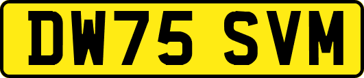 DW75SVM