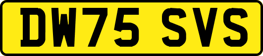 DW75SVS