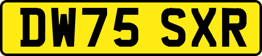 DW75SXR