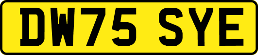 DW75SYE