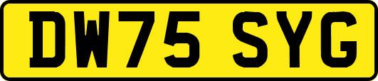 DW75SYG