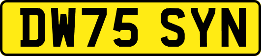 DW75SYN