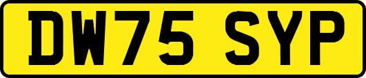 DW75SYP