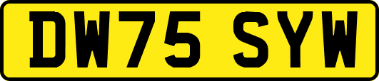 DW75SYW