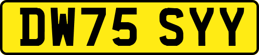 DW75SYY