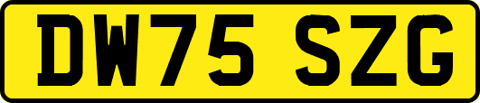 DW75SZG