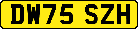 DW75SZH
