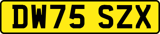 DW75SZX