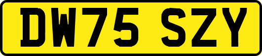 DW75SZY