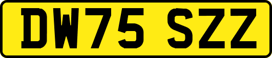 DW75SZZ