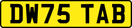 DW75TAB