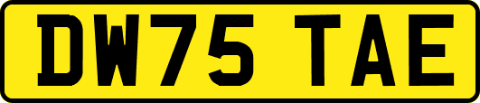 DW75TAE