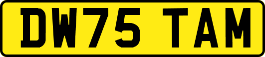 DW75TAM