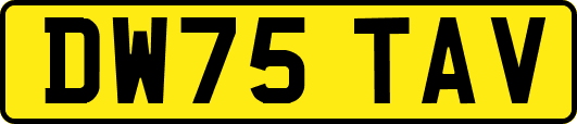 DW75TAV