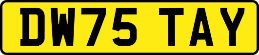 DW75TAY