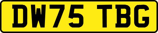 DW75TBG