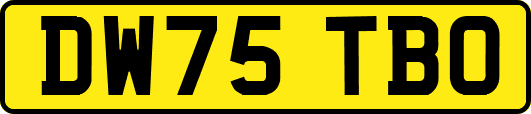 DW75TBO