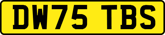 DW75TBS