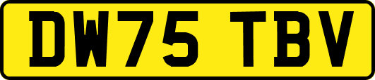 DW75TBV