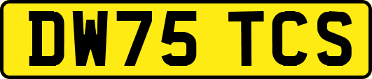 DW75TCS