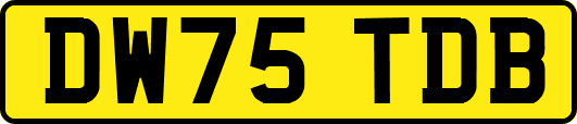 DW75TDB
