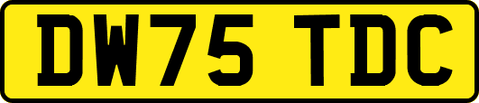 DW75TDC