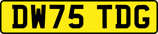 DW75TDG