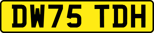 DW75TDH