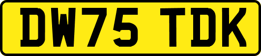 DW75TDK