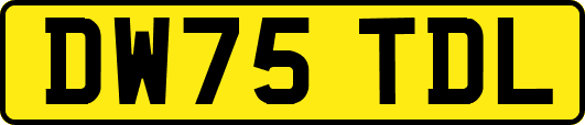DW75TDL