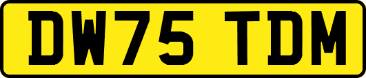 DW75TDM