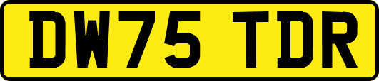 DW75TDR