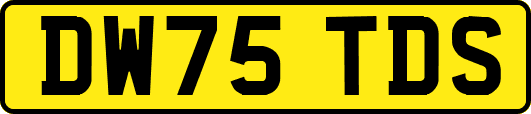 DW75TDS