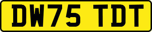 DW75TDT