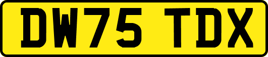DW75TDX