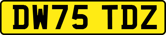 DW75TDZ