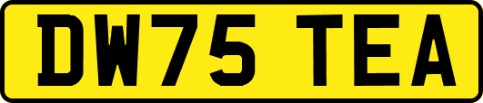 DW75TEA