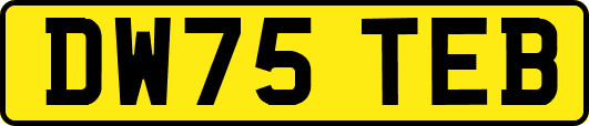 DW75TEB