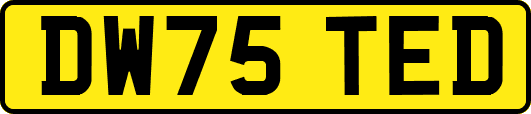 DW75TED