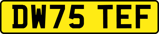 DW75TEF