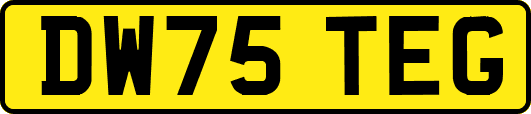 DW75TEG