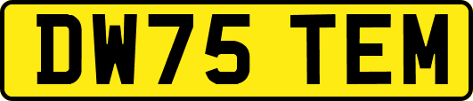 DW75TEM